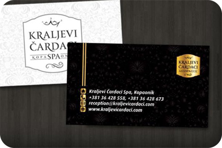 Bussiness Card 1